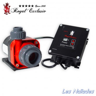 Red Dragon 4 Dreamliner Pump