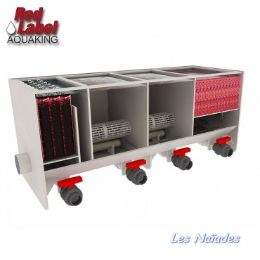 Red Label  4  chamber Small 12000