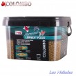 Lernex alimentation PRO Colombo