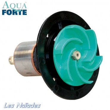 AQUA FORTE POMPE POUR BASSIN PRIME VARIO 25000 WIFI