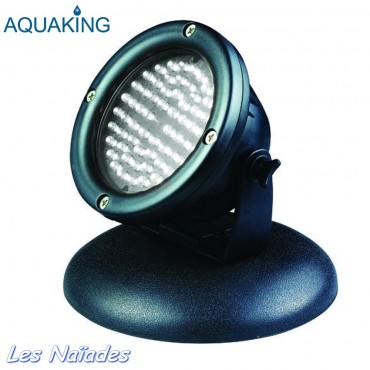 Projecteur LED 60 AquaKing