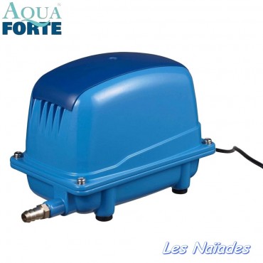 Pompe AquaForte AP 60