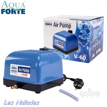 Pompe AquaForte V 60