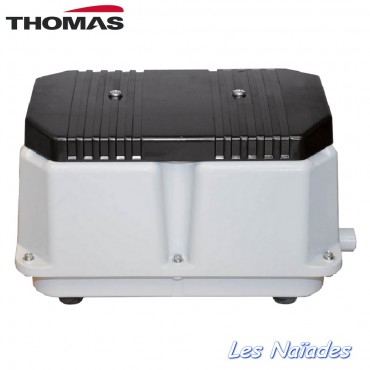 Thomas LW 300 air pump