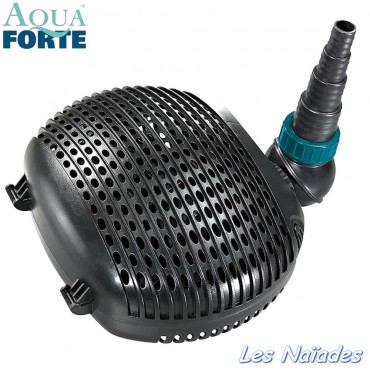 Pompe AquaForte type EC