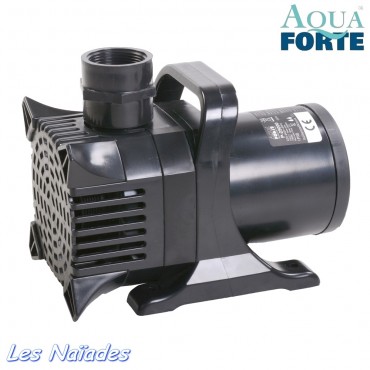 Pompe AquaForte type P