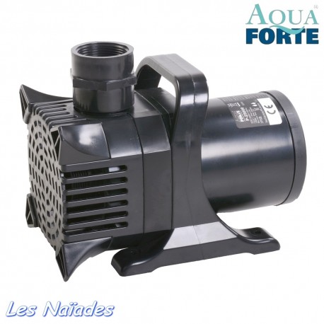 Pompe AquaForte type P