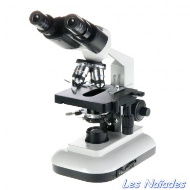 Microscope binoculaire Novex