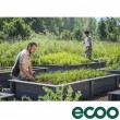 Ecoplan creux