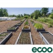 Ecoplan creux