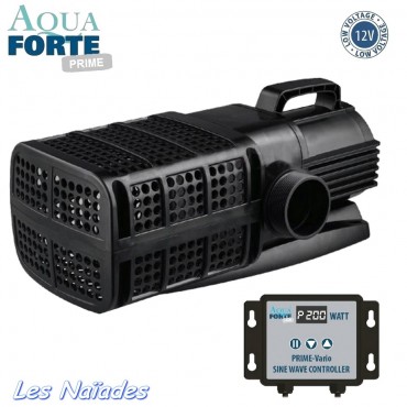 Pompe bassin DM-8000 Lv AquaForte (Bas Voltage 12V) - Belgian Koi Farm FR