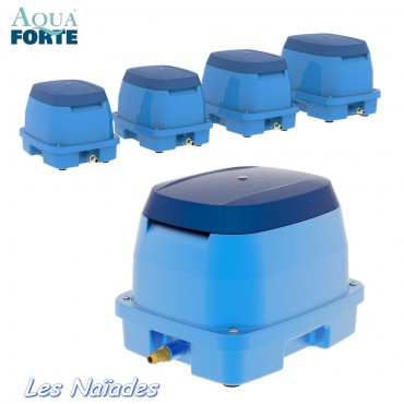 Pompe AquaForte EAP