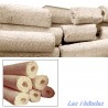 Bacteria Home BIS